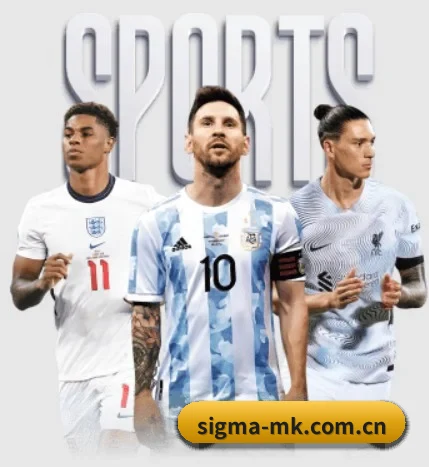 本站五个常用功能入口,赛程查询路径更短 - 多运动项目内容板块(MKSports)