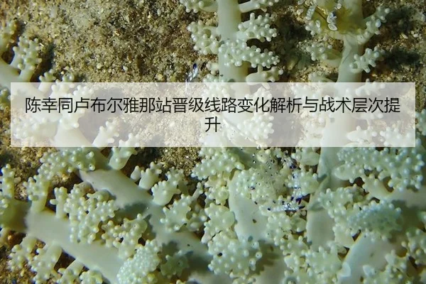 chen-xing-tong-lu-bu-er-ya-na-zhan-jin-ji-xian-lu-bian-hua-jie-xi-yu-zhan-shu-ceng-ci-ti-sheng-2-417.jpg
