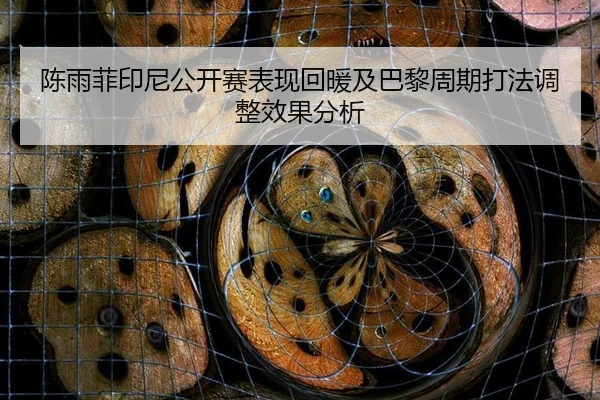 chen-yu-fei-yin-ni-gong-kai-sai-biao-xian-hui-nuan-ji-ba-li-zhou-qi-da-fa-tiao-zheng-xiao-guo-fen-xi-2-371.jpg
